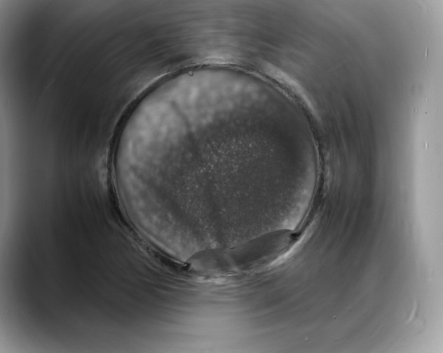 X0000088031170200706081455