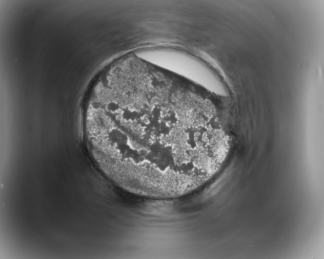 X0000088031171200706081455