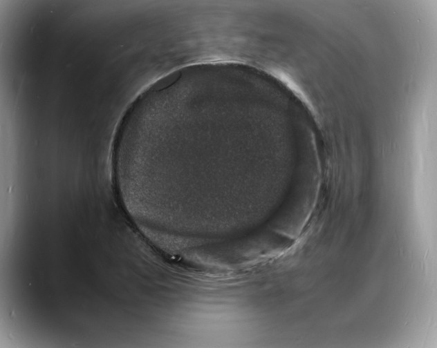 X0000088031173200706081455