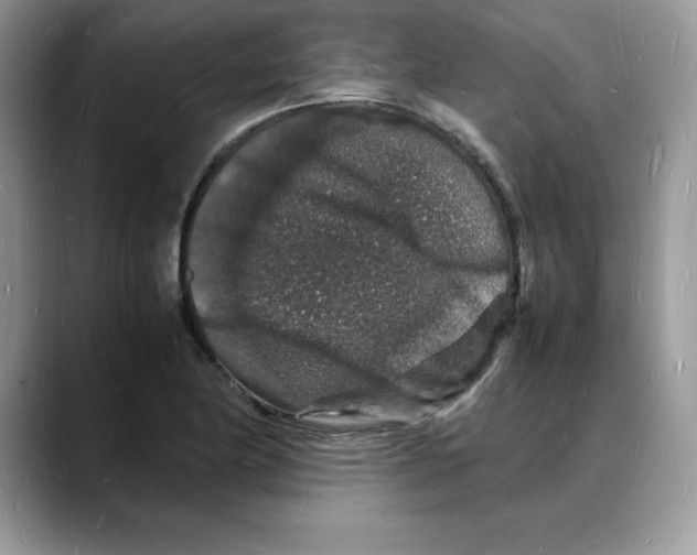 X0000088031174200706081455