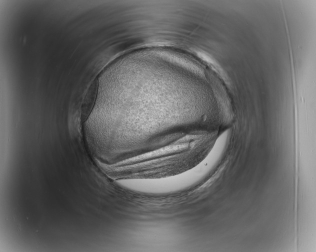 X0000088031177200706081455