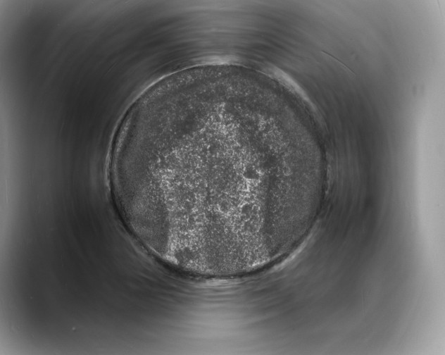X0000088031178200706081455