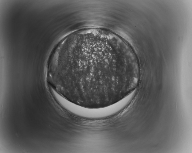 X0000088031179200706081455