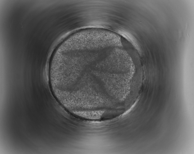X0000088031180200706081455