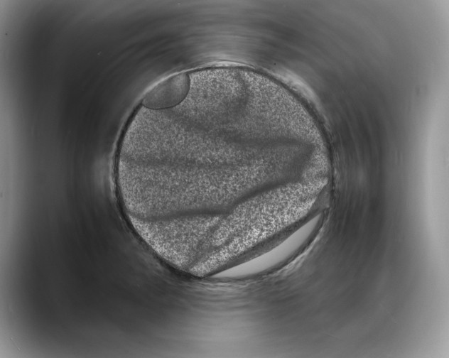 X0000088031182200706081455