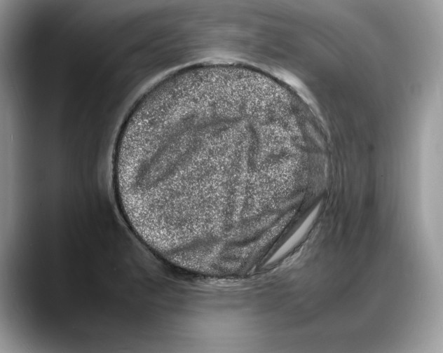 X0000088031183200706081455