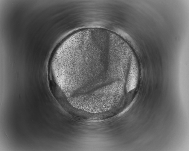 X0000088031184200706081455