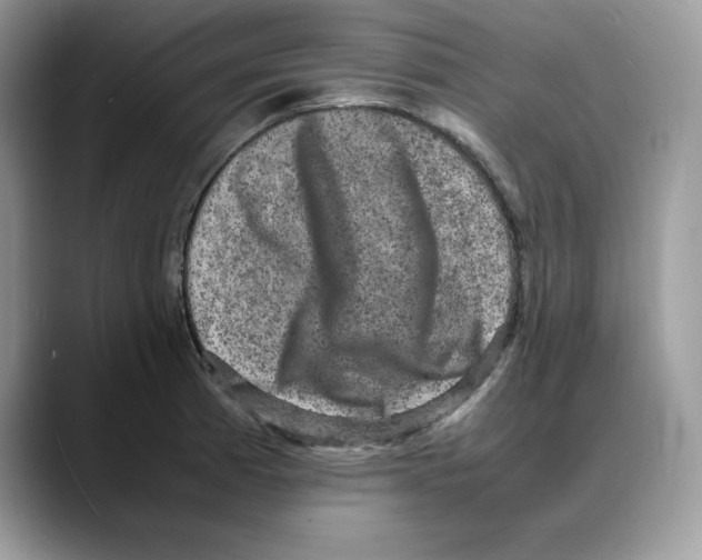 X0000088031185200706081455