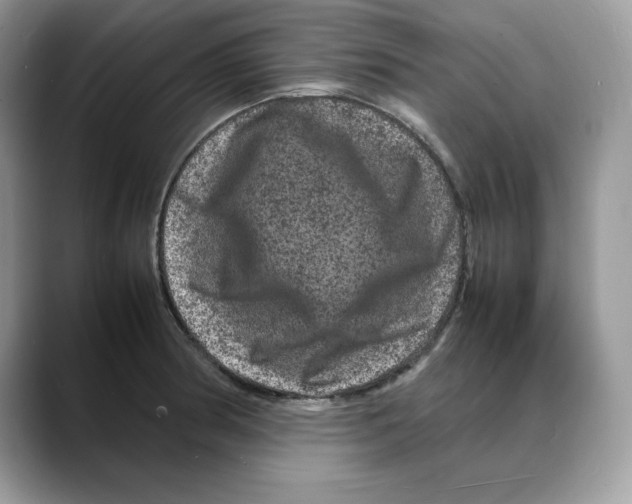 X0000088031186200706081455