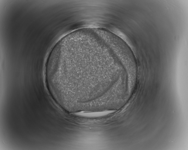 X0000088031187200706081455
