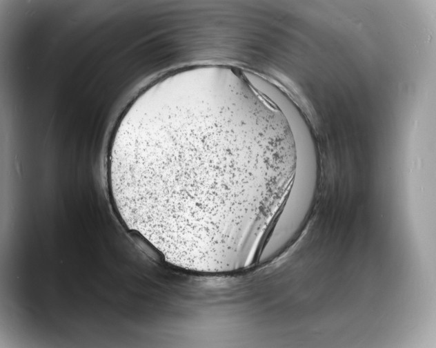 X0000088031188200706081455