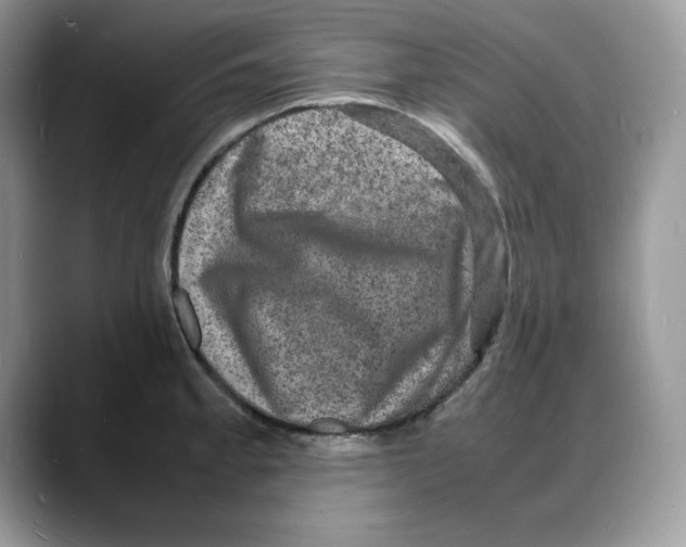 X0000088031189200706081455