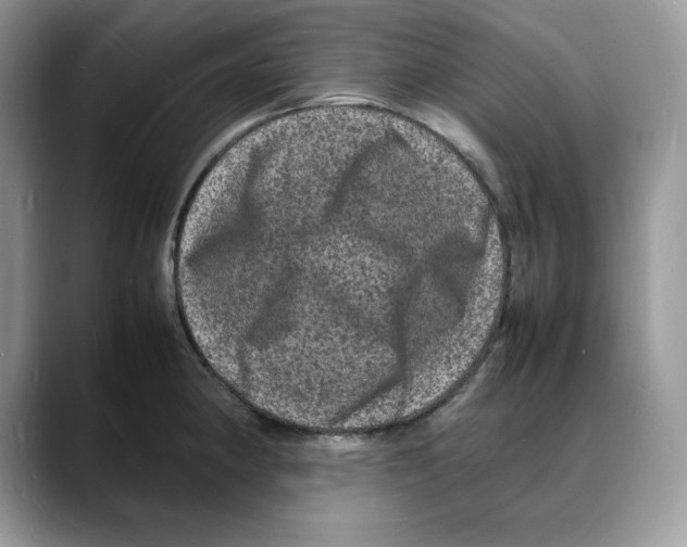 X0000088031190200706081455