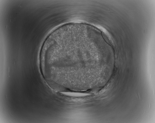 X0000088031191200706081455