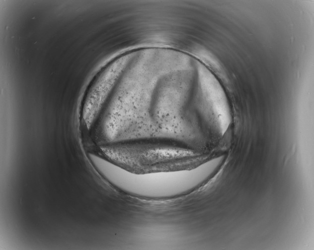 X0000088031192200706081455