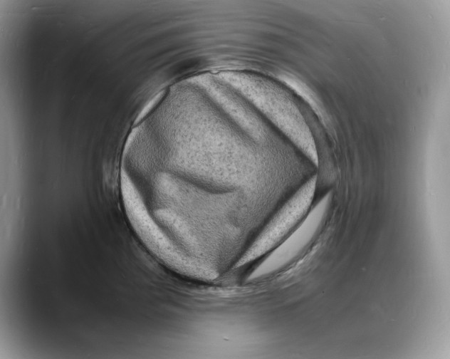 X0000088031193200706081455