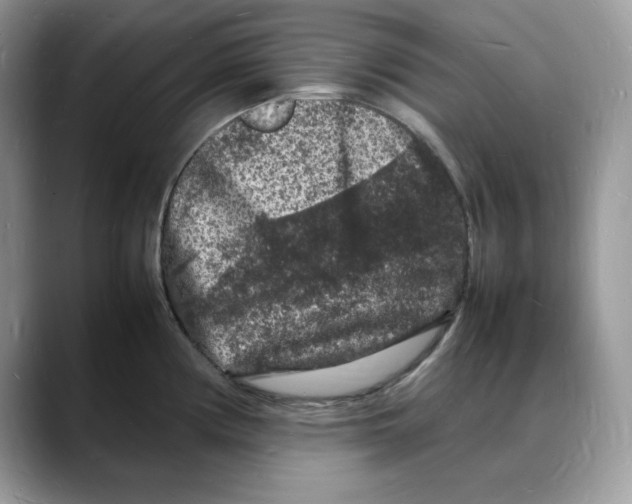 X0000088031194200706081455