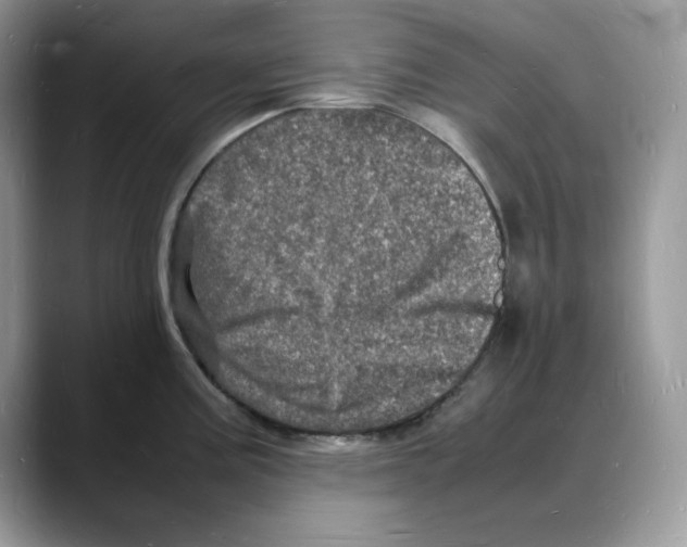X0000088031195200706081455