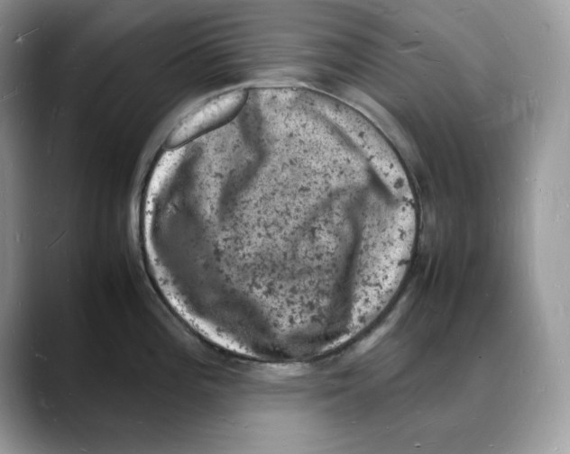 X0000088031196200706081455