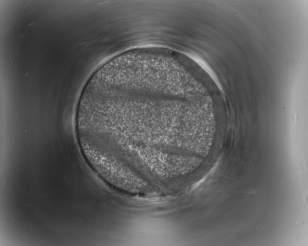 X0000088031197200706081455