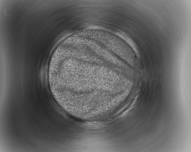 X0000088031198200706081455