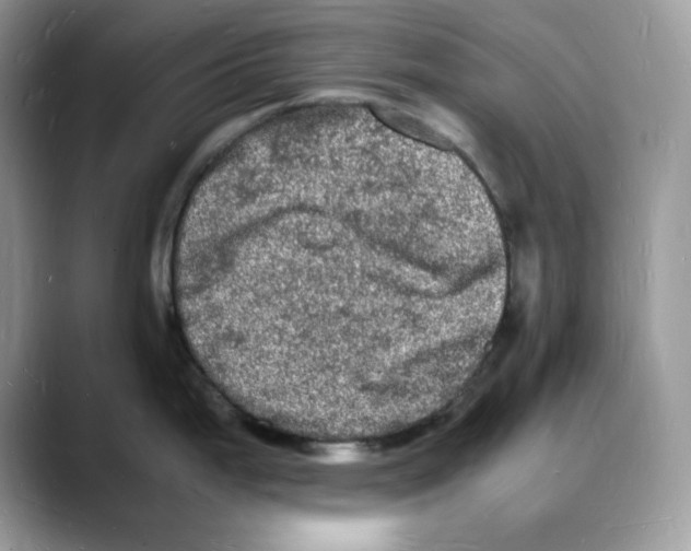 X0000088031199200706081455