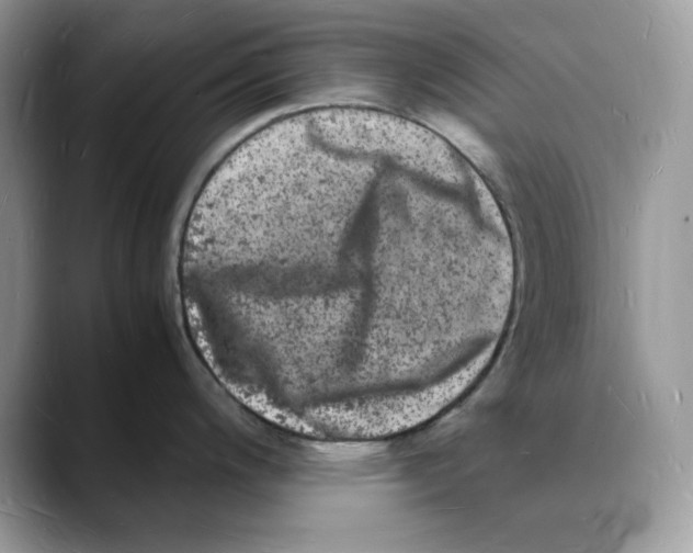 X0000088031200200706081455