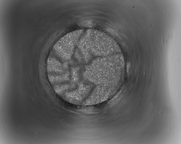 X0000088031201200706081454