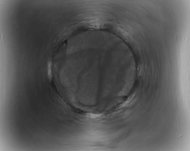 X0000088031202200706081454