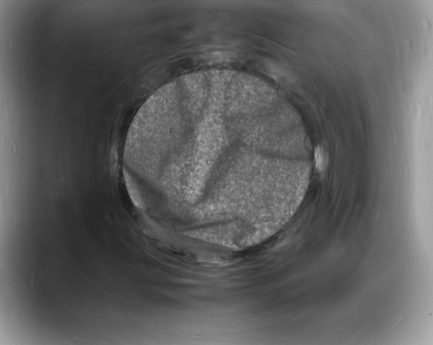 X0000088031203200706081454