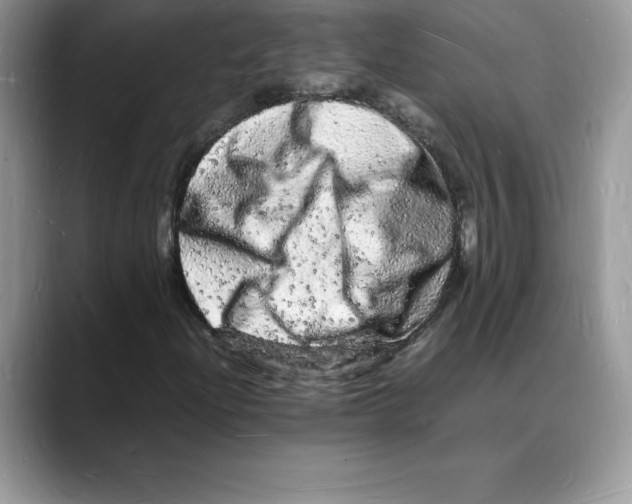 X0000088031204200706081454