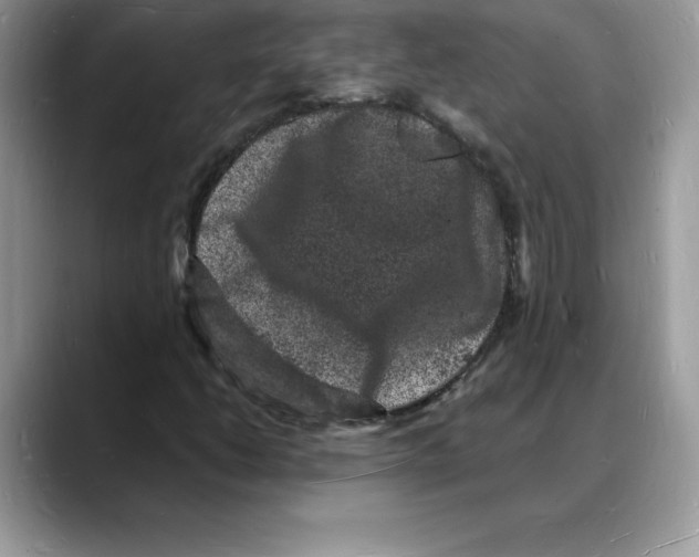 X0000088031206200706081454