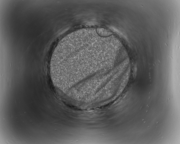 X0000088031207200706081454