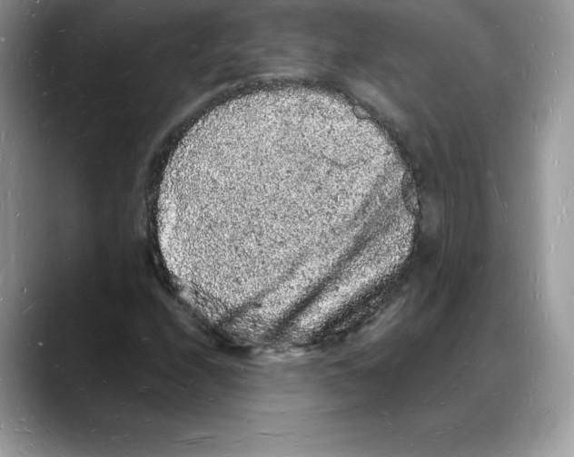 X0000088031208200706081454