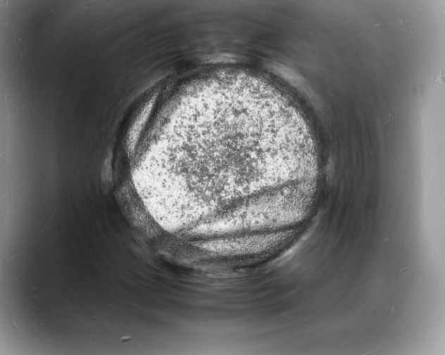 X0000088031209200706081454