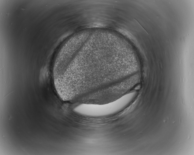 X0000088031210200706081454