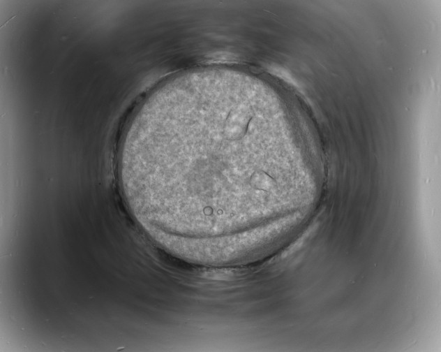 X0000088031211200706081454