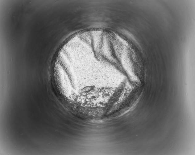 X0000088031212200706081454