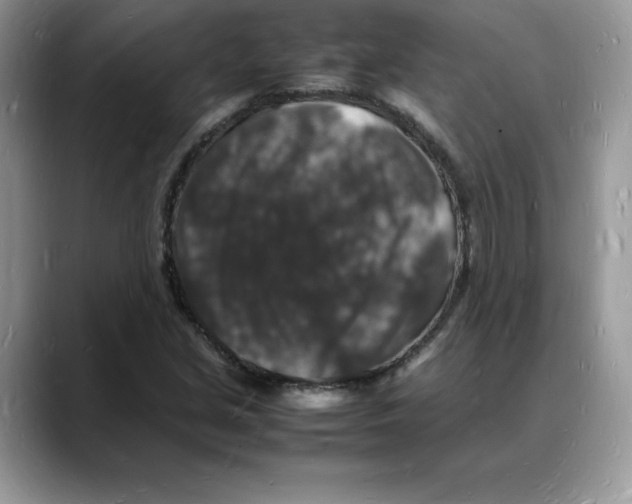 X0000088031213200706081454