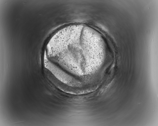 X0000088031214200706081454