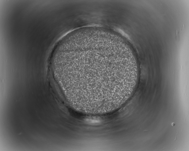 X0000088031215200706081454