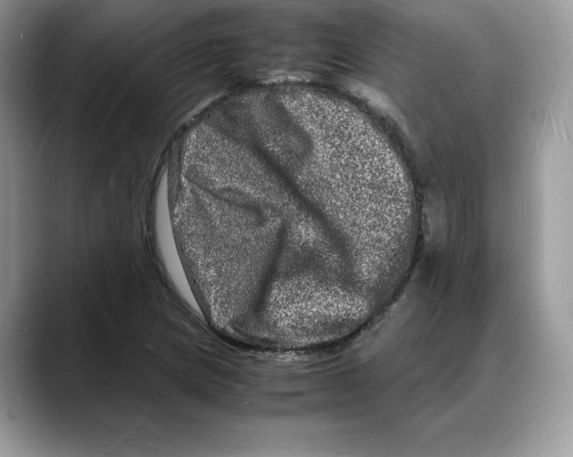 X0000088031217200706081455