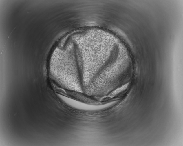 X0000088031218200706081455