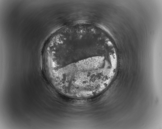 X0000088031219200706081455