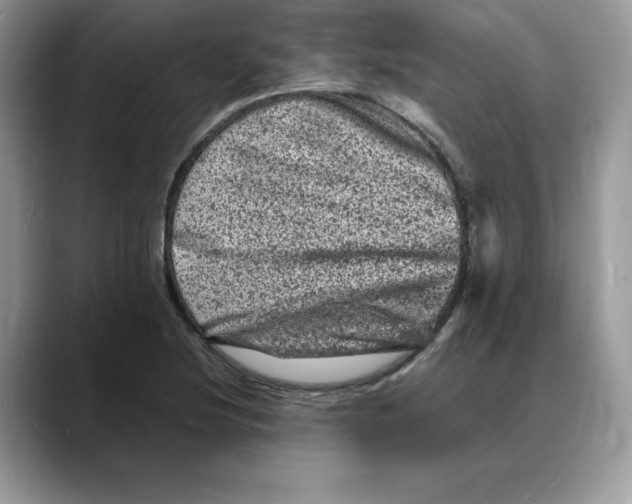 X0000088031220200706081455