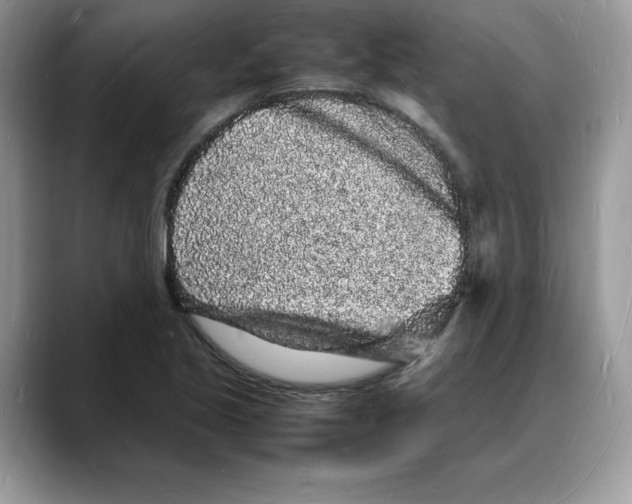 X0000088031221200706081455