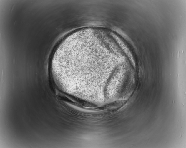 X0000088031222200706081455