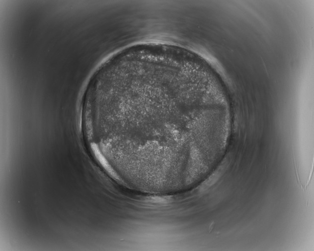 X0000088031224200706081455