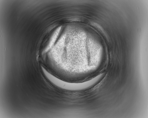 X0000088031225200706081455