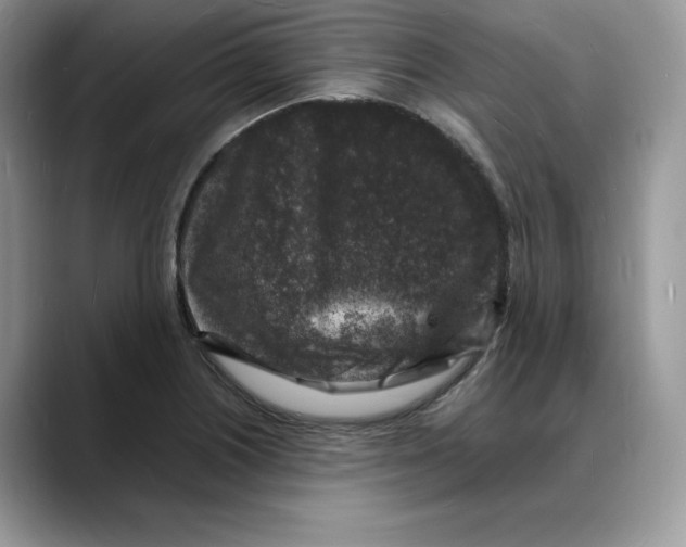 X0000088031226200706081455
